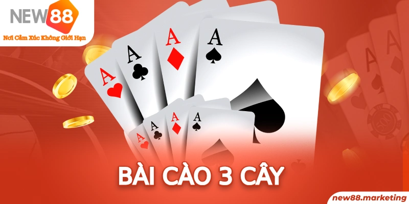 5mb casino baccarat là cái gì