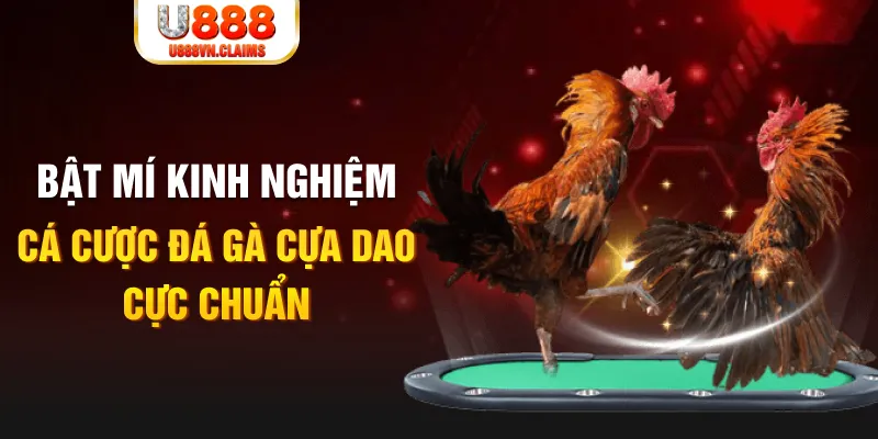 5mb casino trong baccarat, ai là người chia bài chính？