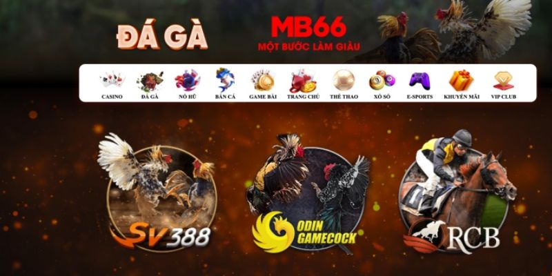 5mb casino Bài Poker Hoàn Toàn Mỹ