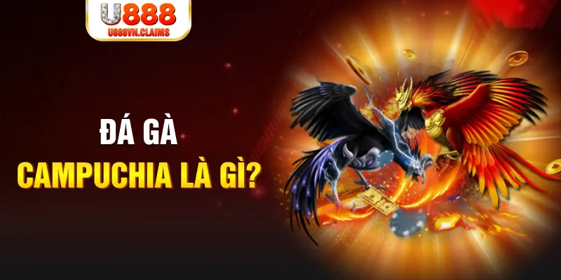 5mb casino gà chọi đắk pơ