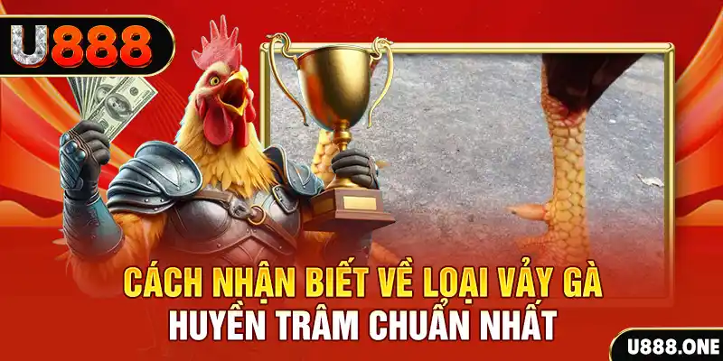 5mb casino Chú hề Patty tuổi teen