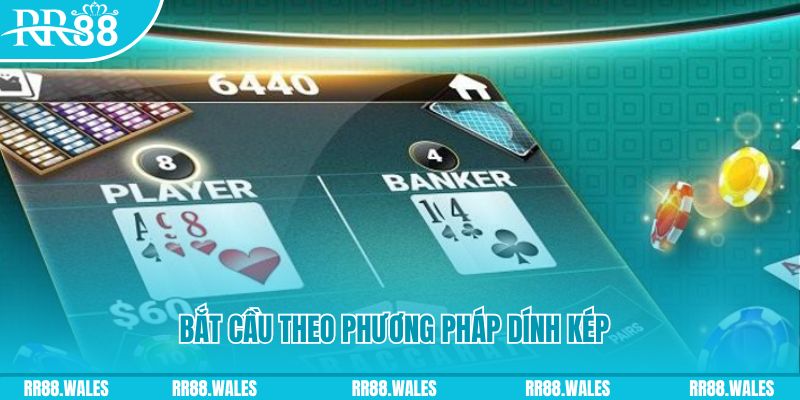 5mb casino cá cược thể thao là gì