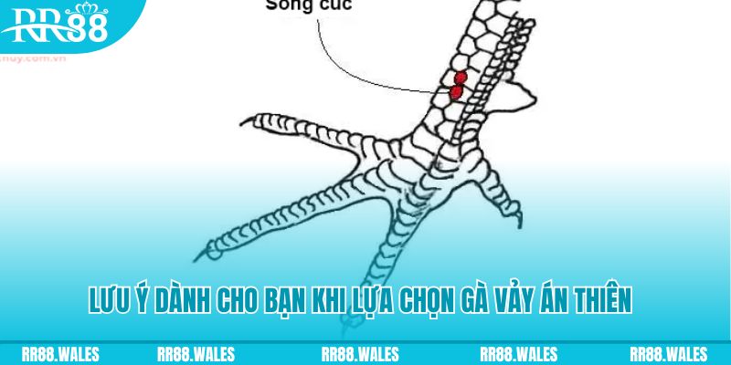 5mb casino how to play roulette at casino