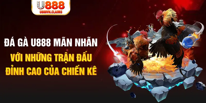 5mb casino kết quả xổ số miền bắc ngày hôm nay