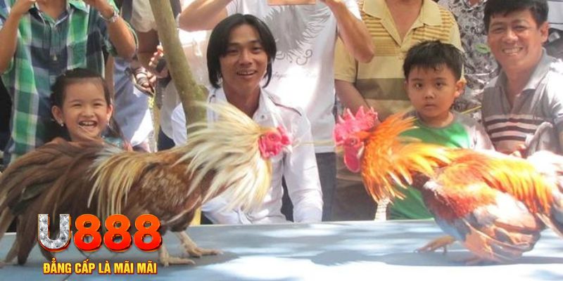 5mb casino mơ thấy nổ hũ đánh con gì