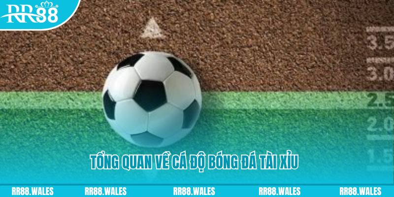 5mb casino JDB Điện Tử