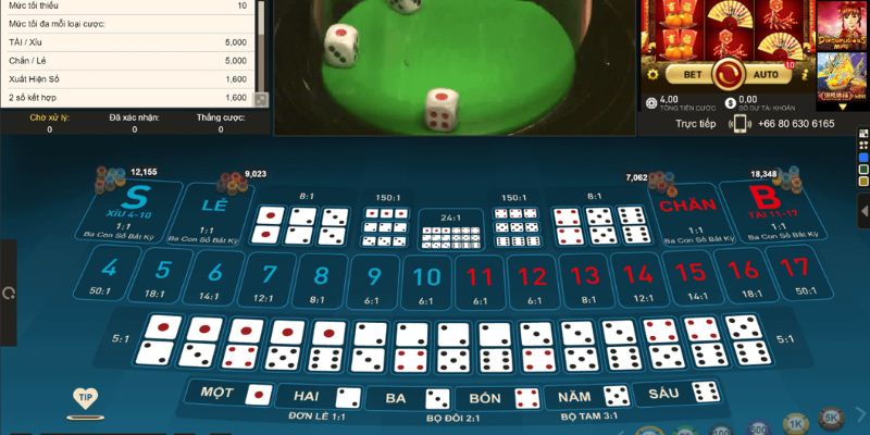 5mb casino đá gà thomo hôm nay