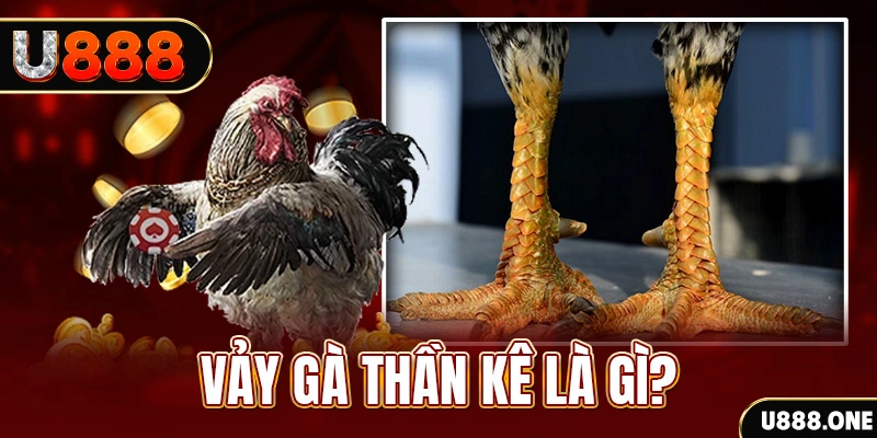 5mb casino xổ số miền bắc thứ tư hàng tuần