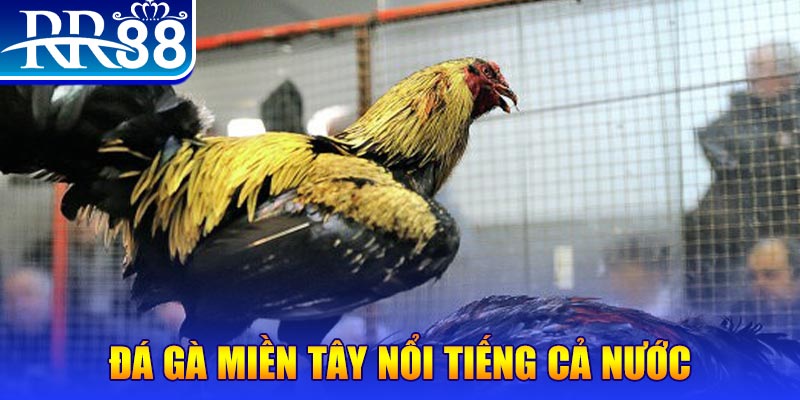 5mb casino đăng nhập liêng miễn phí