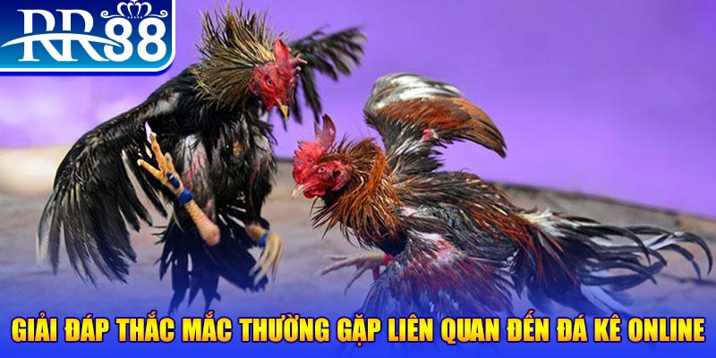 5mb casino đăng nhập phỏm tặng tiền