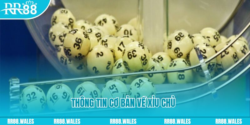 5mb casino baccarat long bảo là gì