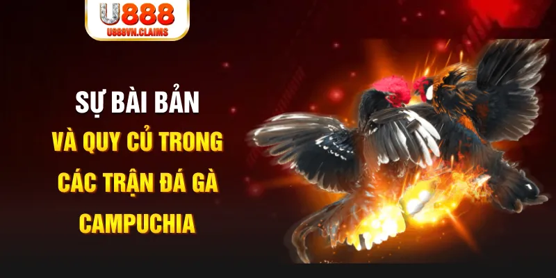 5mb casino baccarat lừa đảo như thế nào